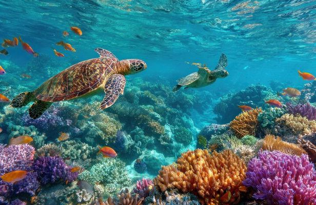 Catalina Island even more unspoilt than Saona Island