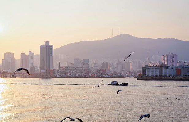 Colors of Busan: Sky Capsule, Jagalchi Market & Night Views