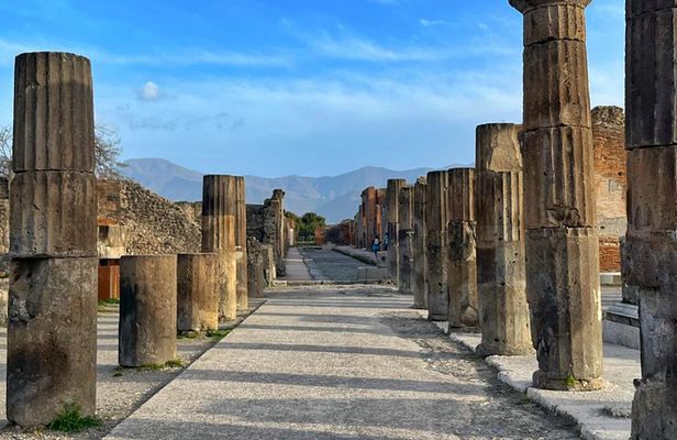 Sorrento and Pompeii Luxury Private Tour