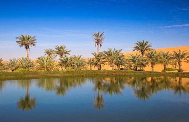 Full Day Al Ain City Tour with Lunch