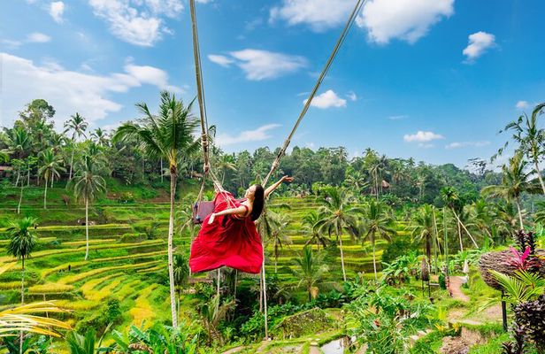Jungle Swing, Monkey Forest, Rice Terrace and Temple Tour in Bali
