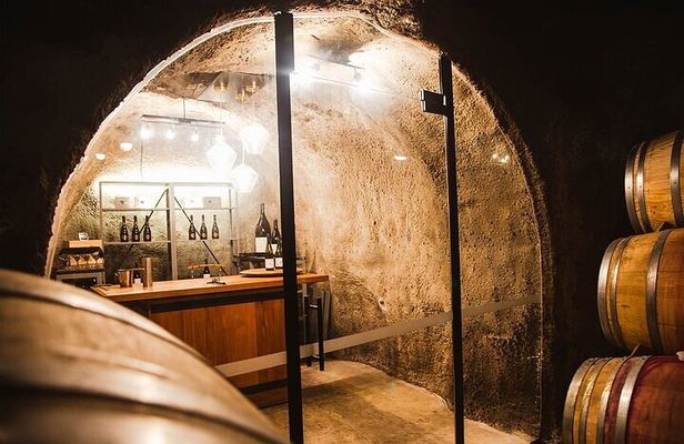 Premium Wine Tour Queenstown Tasting at 4 Wineries