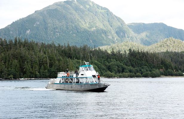 Ketchikan Waterfront & Wildlife Cruise