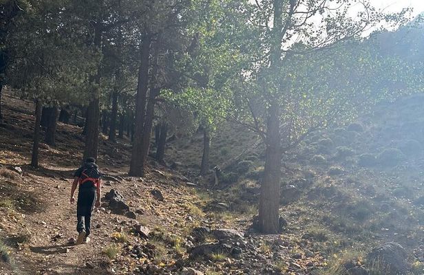 3 Day High Atlas Trekking Adventure Valleys and Berber Culture