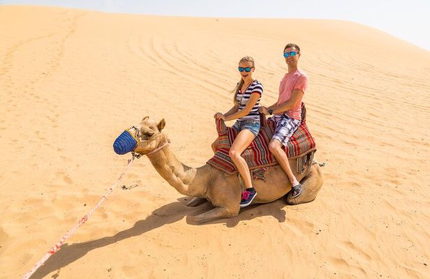 Private - Morning Desert Safari