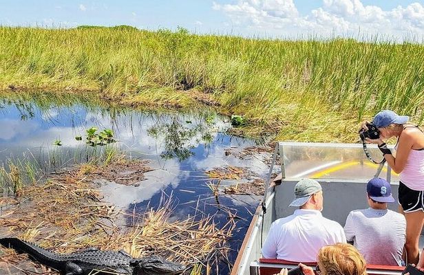 Everglades Airboat Ride and Nature Walk Private Tour
