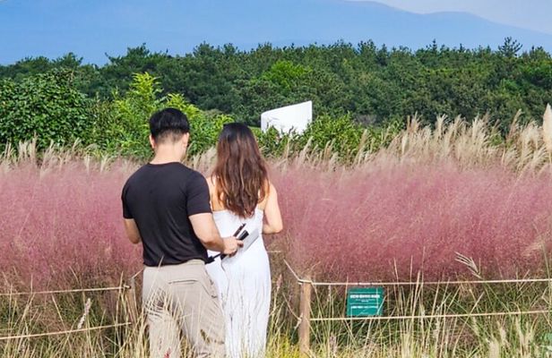 Jeju Island Taxi Join Tour