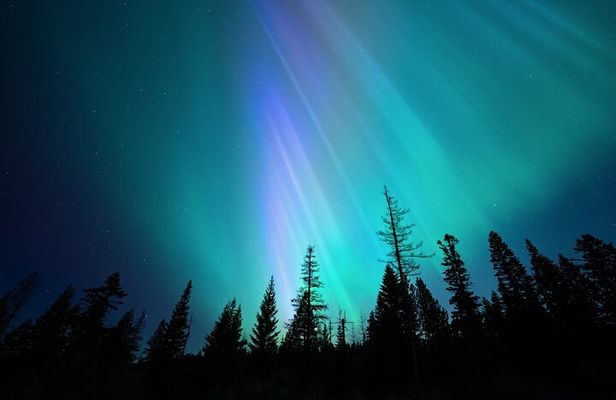 Aurora Borealis Experience Night Edition