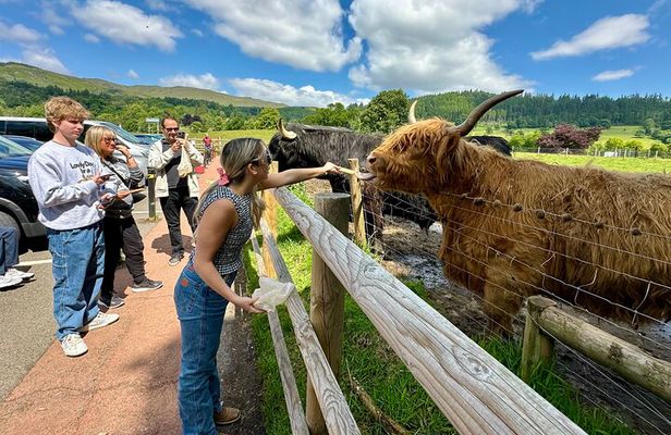 Private Shore Excursion-Castles, Highland Coos and Whisky Tasting