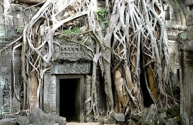 Private Angkor Wat Tour with Local Expert Guide-Bayon & Ta Prohm