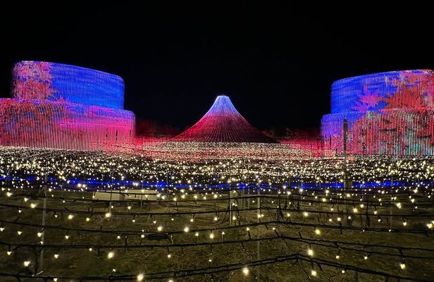 Tour to Enjoy Japan's Largest Illuminations and Outlet Shopping