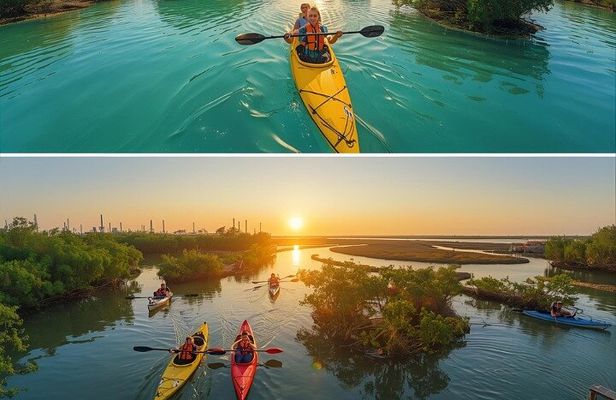 4 Hours Kayaking Adventure in Qatar Purple Island Mangroves