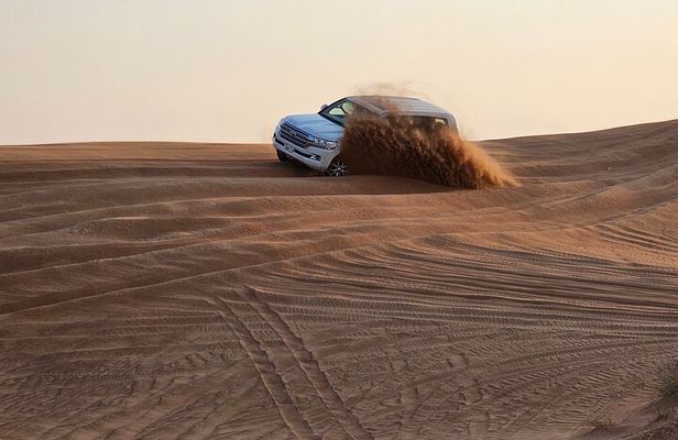 Shanu's Morning Desert Safari Fiesta!