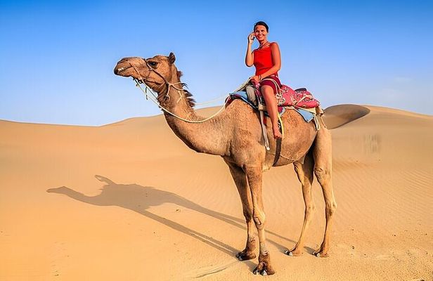 Blue Hole & Canyon By Bus with Camel & Lunch - Sharm El Sheikh 