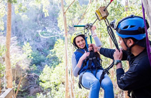 Cape Town Zipline Adventure (Hotel Pickup included)