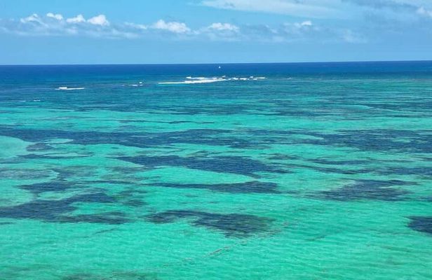 Saona Catamaran Island Lunch and Transfer from Punta Cana