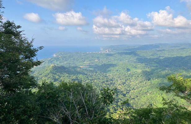 Hike to Monkey Mountain
