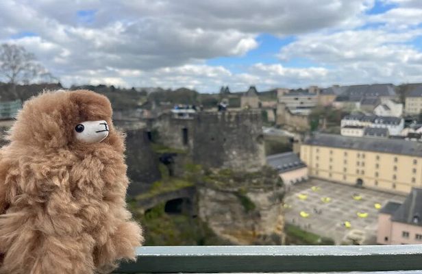 Luxembourg Private Guided Day Tour from Brussels