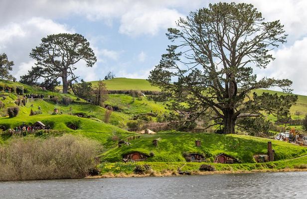 Hobbiton and Waitomo Glowworm Caves Tour with Lunch from Auckland