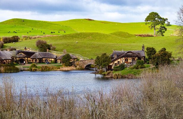 Hobbiton Movie Set Small Group Tour from Auckland