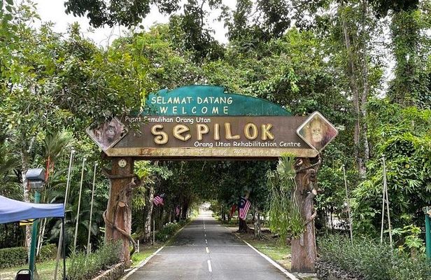 Full Day Sepilok Orangutan and Rainforest Discovery Centre Tour