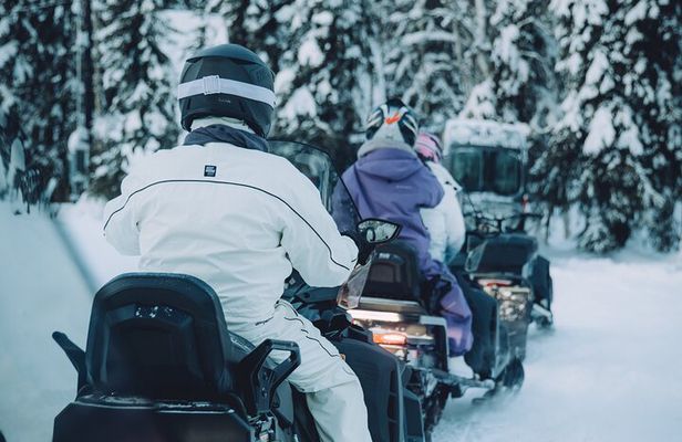 Forest Snowmobile Tour in Alaska