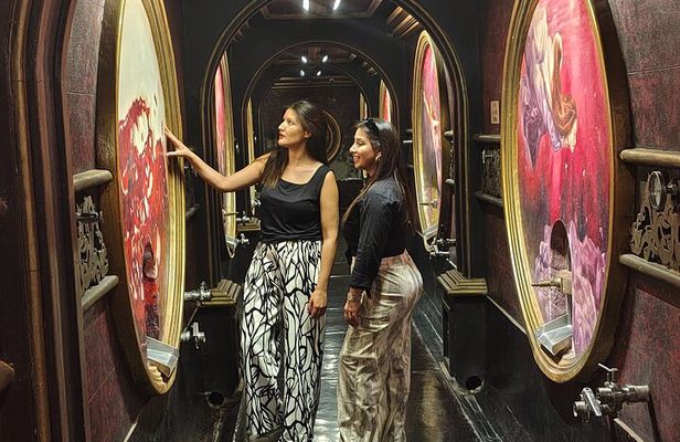 Mendoza Winery Tour with Olive Trees in Private Service