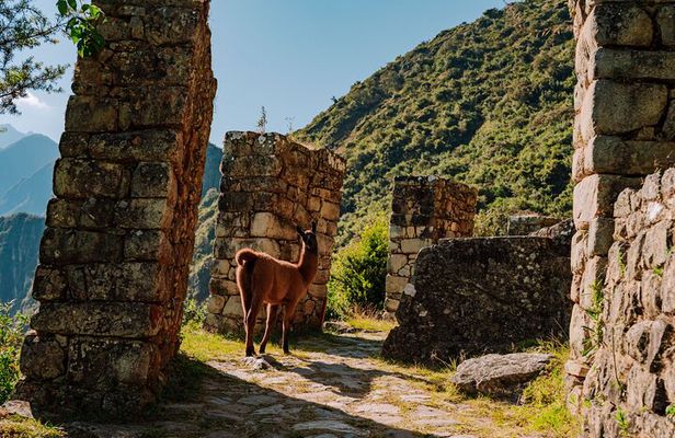 1-Day Short Inca Trail Trek to Machu Picchu