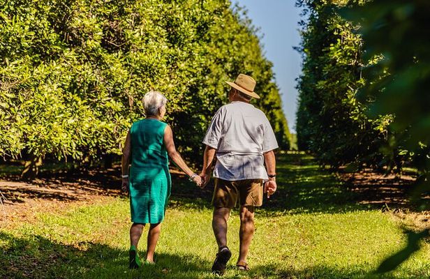 Macadamias Australia Orchard Tour in Bundaberg