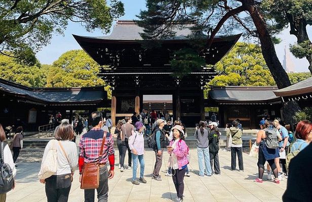 Meiji Shrine Sacred Forest and Shinto Traditions Walking Tour