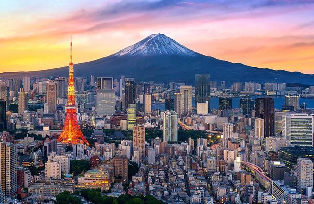 Tokyo Private Sightseeing Tour