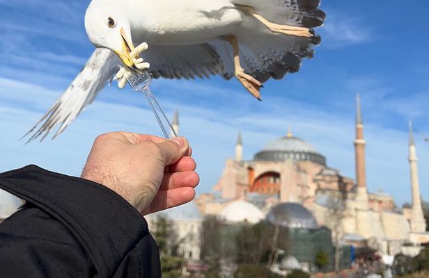 ISTANBUL BEST: Iconic Landmarks Full Day Private Guided City Tour
