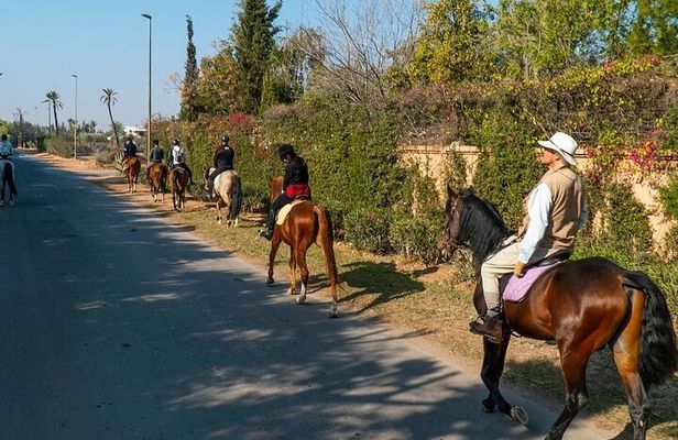 Horseback Ride in Marrakech Palmeraie with Mint Tea