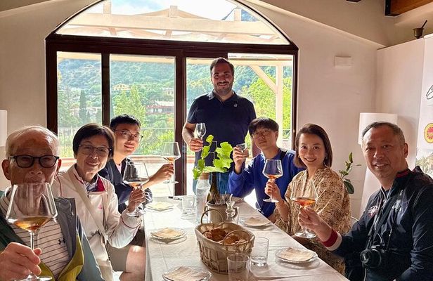 Taormina & Wine Experience : Tasting in Sicilian Wineries