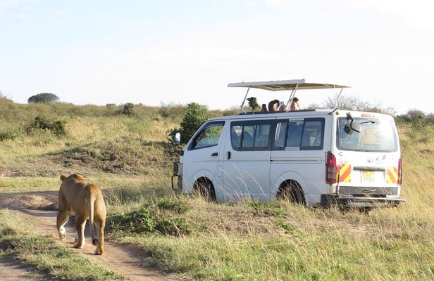 Tsavo National Park Group Tour with Game Drives