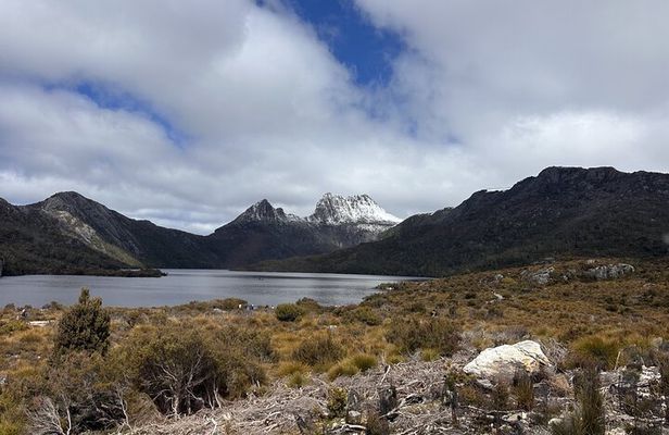 Cradle Mountain Half Day Park Explorer Tour with Lunch
