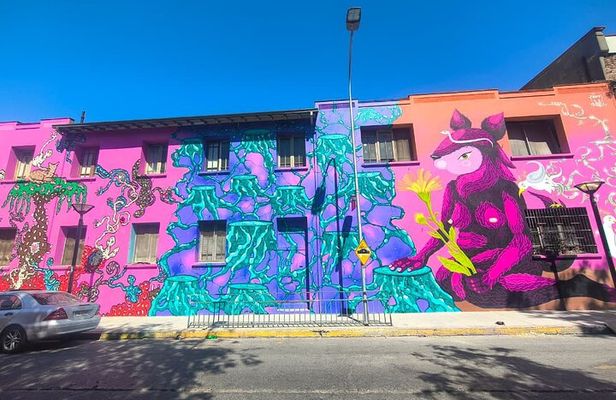 Santiago Barrio Yungay Street Art Walking Tour Experience