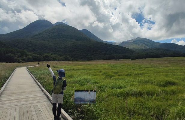Beppu Luxury Nature Escape: Highland Walk Sky Bridge and Yufuin