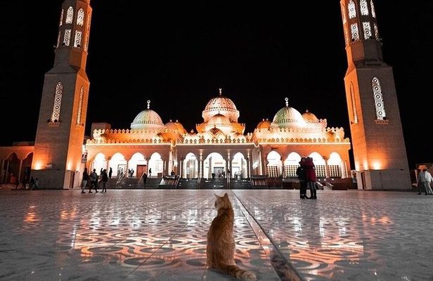 Hurghada Museum & City Tour With Private transportation - Hurghada 