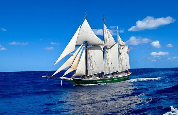 Sunset Sail Aboard the Tall Ship Denis Sullivan