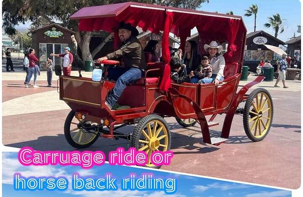 City Carriage Tours and Horseback Riding on the Beach