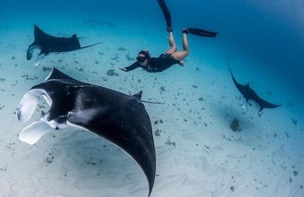 Sharing Snorkeling Experience to Manta Point in Penida