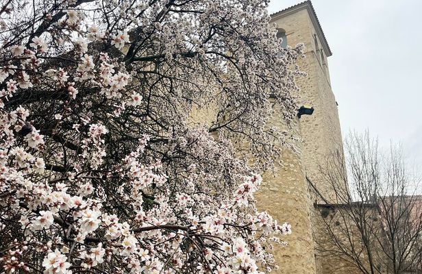 From Madrid: Cuenca and the Enchanted City A Natural Marvel