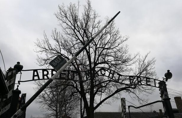 Auschwitz Birkenau Shared Guided Tour from Krakow