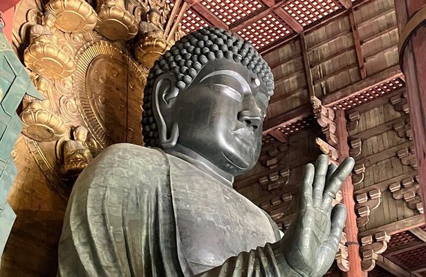 From Osaka: Private Nara Tour with Meet-Up at Your Hotel