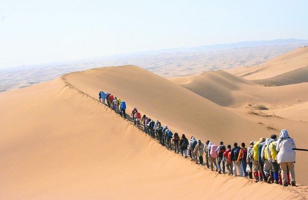 Morning Desert Walking Tour in Abu Dhabi with Camel Rides