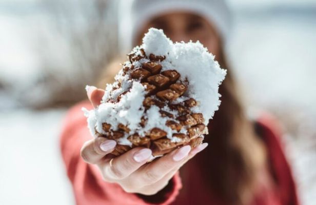 Banff's Winter Wonderland Food Tour