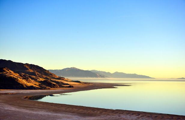 Antelope Island Sunset Wildlife Expedition Great Salt Lake Tour