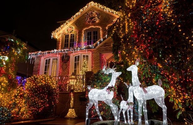 Tour New York City Contrasts and Dyker Heights Lights