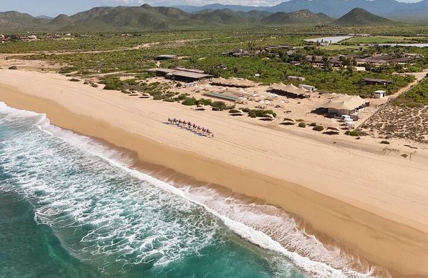 ATVs UTVs and Camel ride in All Access Adventure Park and Beach